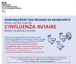 influenza