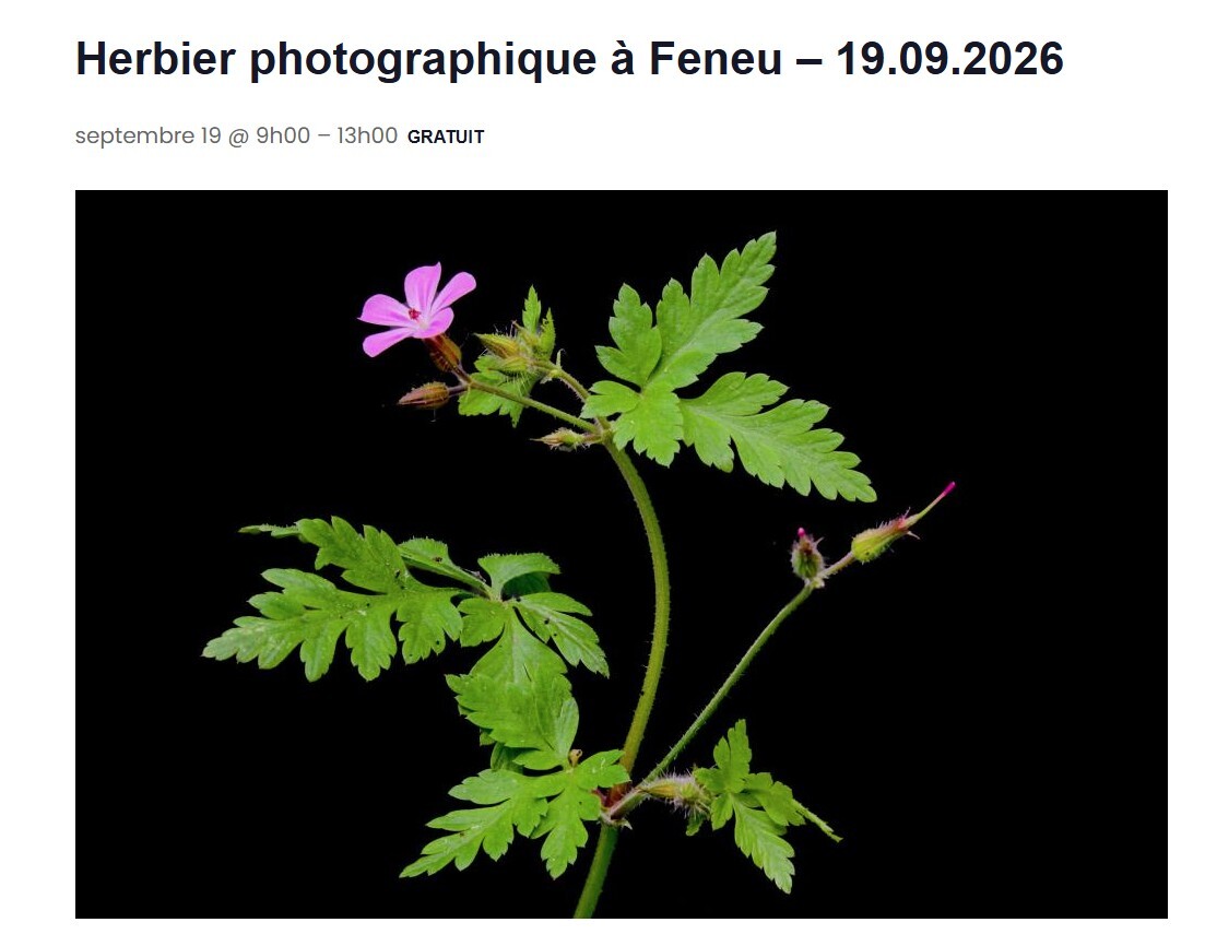 herbier